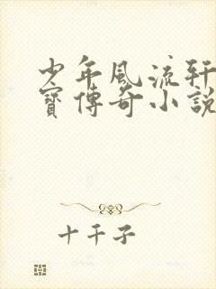 少年风流轩辕大宝传奇小说