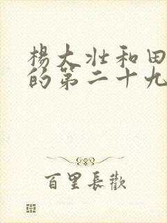 杨大壮和田桂花的第二十九