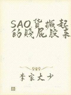 SAO货撅起你的贱屁股来