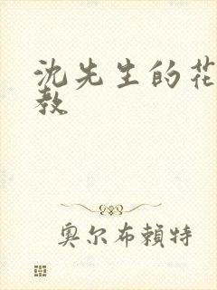 沈先生的花式管教