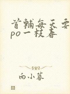 首辅每天要不够po一枝春封面