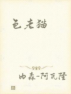色老猫封面