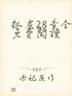 抓灰28章全部免费阅读