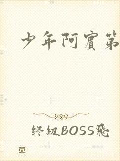 少年阿宾第二部