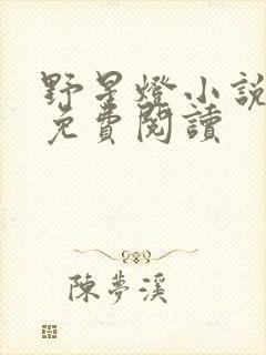 野星灯小说全文免费阅读