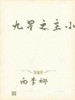 九星之主小说