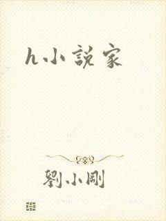 h小说家
