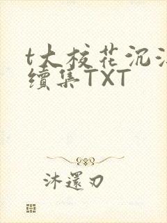 t大校花沉浮录续集TXT
