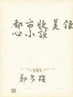 都市收美录宁素心小说
