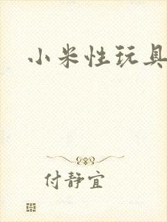 小米性玩具日记