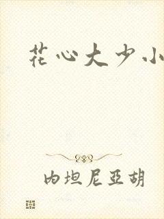 花心大少小说