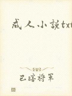 成人小说txt