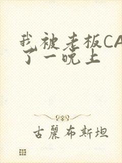 我被老板CAO了一晚上