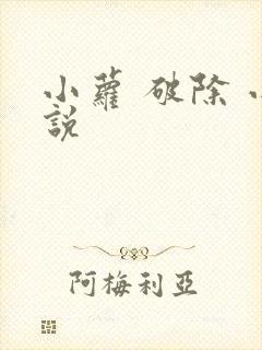 小萝 破除 小说
