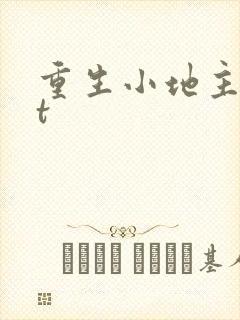重生小地主txt