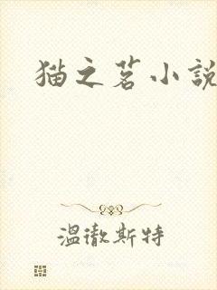 猫之茗小说