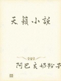 天籁小说