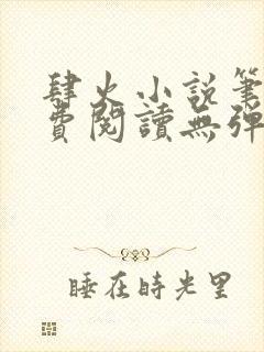 肆火小说笔趣免费阅读无弹窗