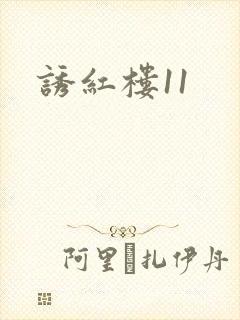 诱红楼11