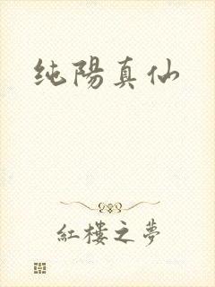 纯阳真仙