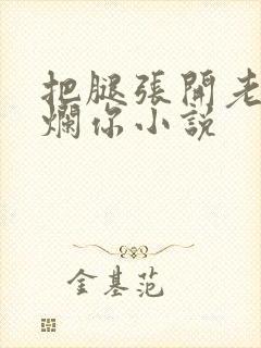 把腿张开老子臊烂你小说