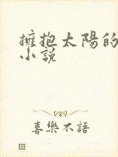 拥抱太阳的月亮小说