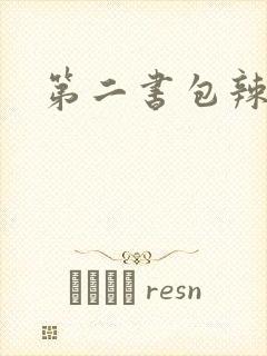 第二书包辣文