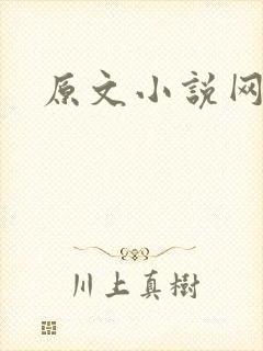 原文小说网