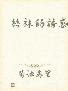 丝袜的诱惑小说