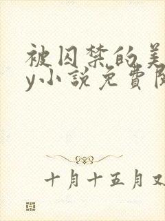 被囚禁的美人by小说免费阅读