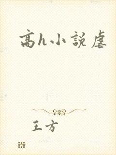 高h小说虐