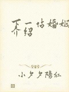 下一站婚姻剧情介绍