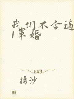 我们不合适1v1军婚