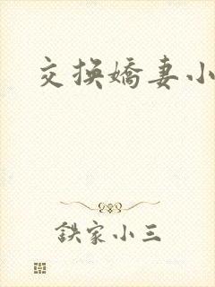 交换娇妻小说