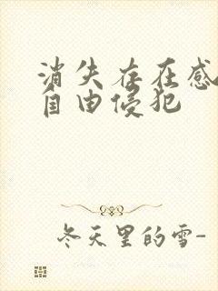 消失存在感消失自由侵犯