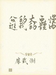 公的大龟慢慢挺进我的体内