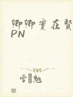 卿卿实在贤良NPN