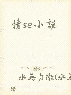情se小说