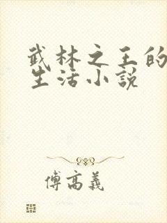 武林之王的退隐生活小说