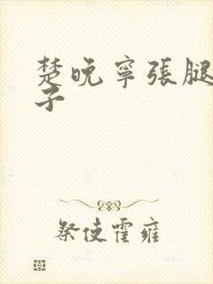 楚晚宁张腿放棋子封面