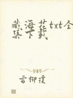 藏海花txt全集下载