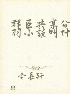 群臣共享公主银羽小说叫什么