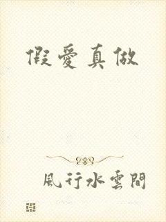 假爱真做