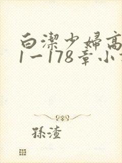 白洁少妇高义第1一178章小说封面