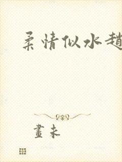 柔情似水赵雅儿封面