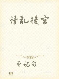 情乱后宫