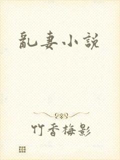 乱妻小说