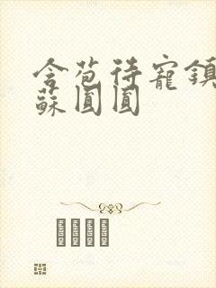 含苞待宠镇国公苏圆圆