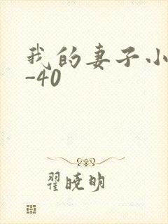 我的妻子小谨1-40