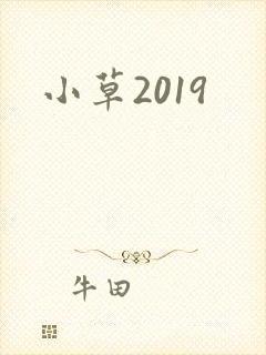 小草2019